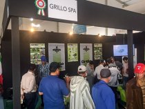 Stand Grillo alla Fiera SIAM 2017 - Meknès, Marocco Stand Grillo alla Fiera SIAM 2017 - Meknès, Marocco